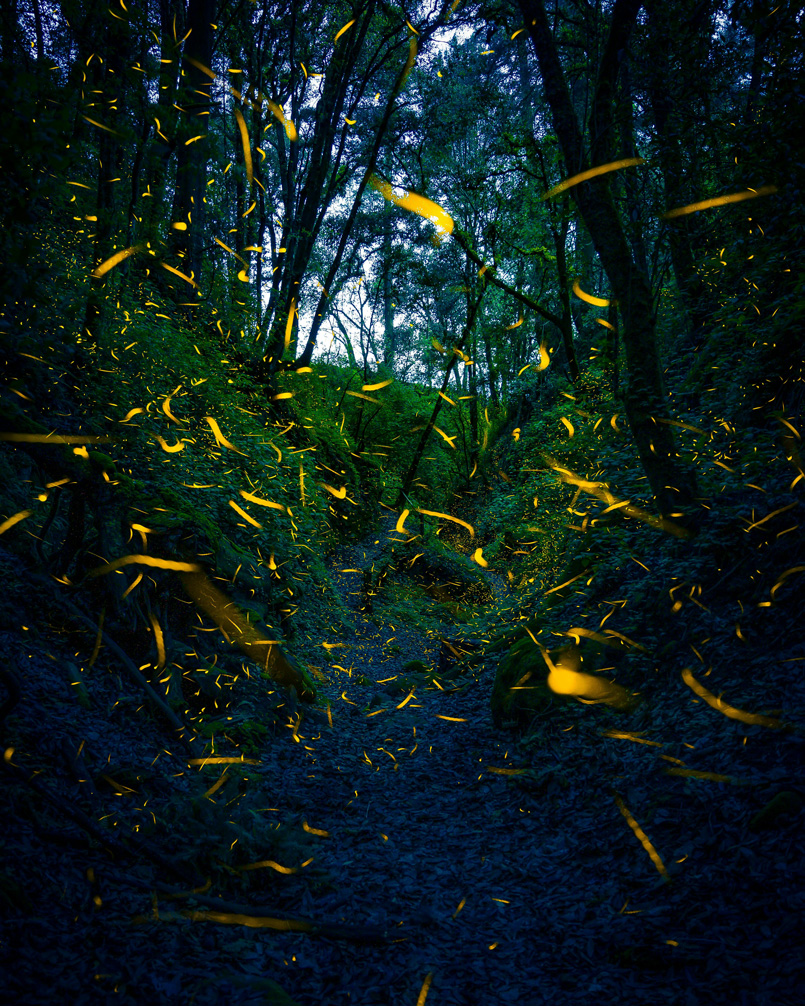 areas naturales