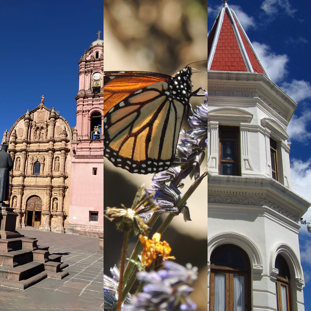 Tour Ruta del Oro